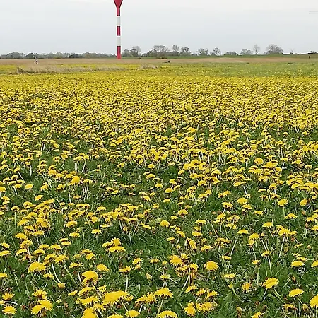 Altes Pastorenhus - Land Und Apartment
