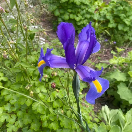 Altes Pastorenhus - Land Und Osterbruch