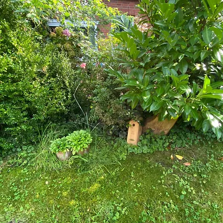 Altes Pastorenhus - Land Und *