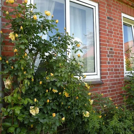 Altes Pastorenhus - Land Und