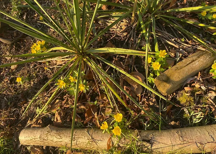Altes Pastorenhus - Land Und