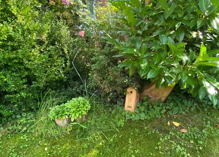 Altes Pastorenhus - Land Und *