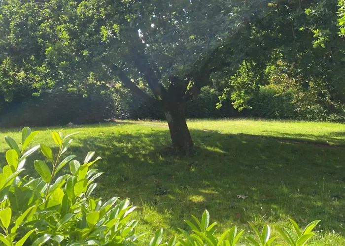 Apartamento Altes Pastorenhus - Land Und