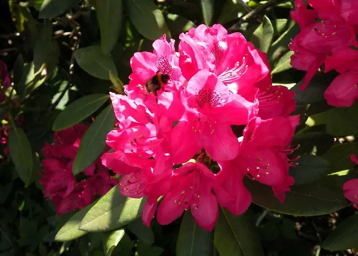 Apartamento Altes Pastorenhus - Land Und