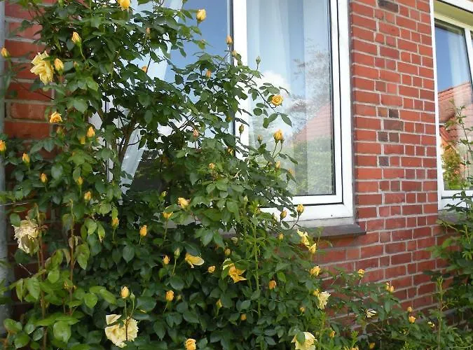 Altes Pastorenhus - Land Und